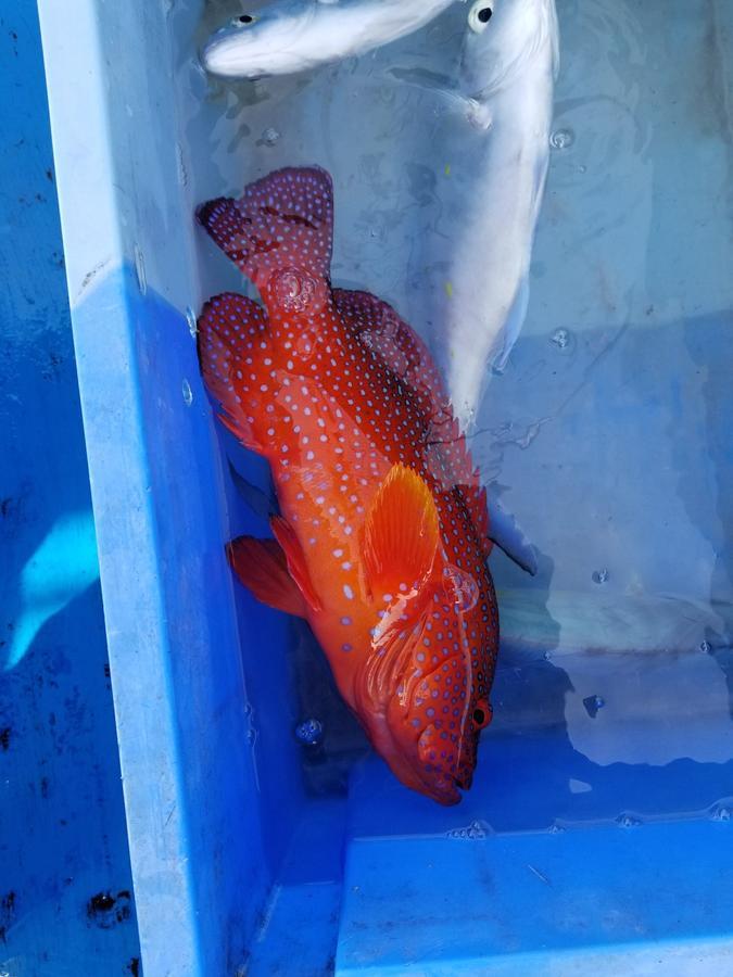 Sea Blue 호텔 온나 외부 사진